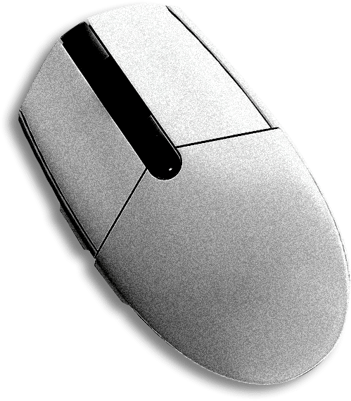 white mouse