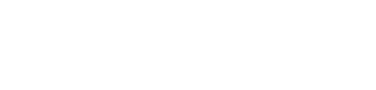 pick-n-pull